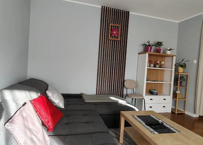 Wspolczesny Apartament Gdansk